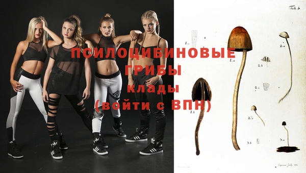 mix Богородск