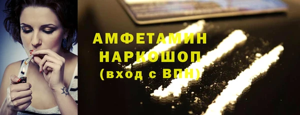 молекула духа Богданович