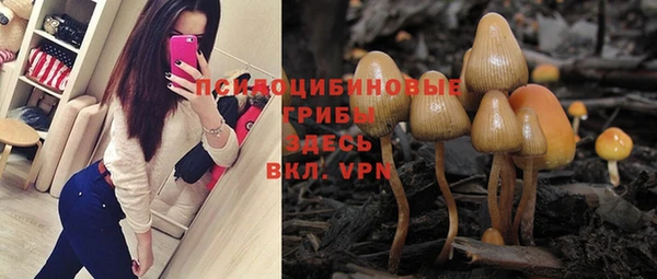 молекула духа Богданович