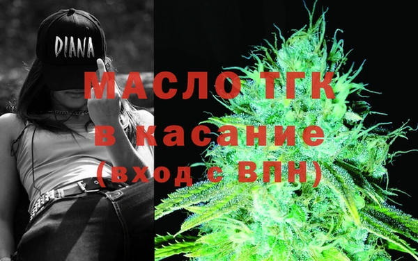 молекула духа Богданович