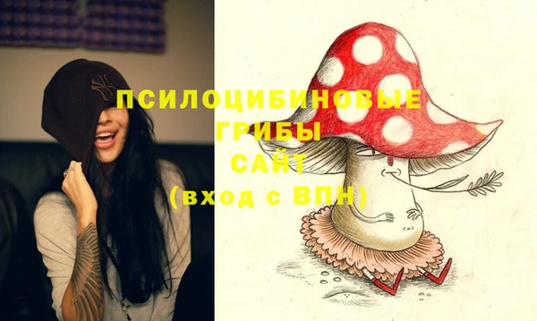 молекула духа Богданович
