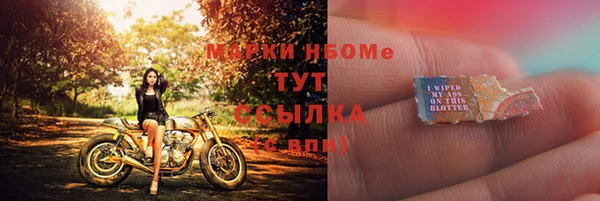 молекула духа Богданович