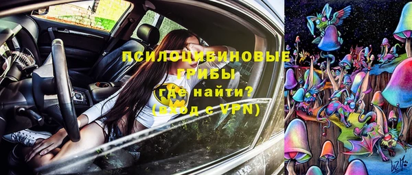 молекула духа Богданович