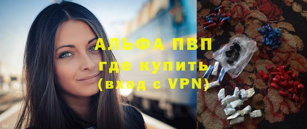 молекула духа Богданович